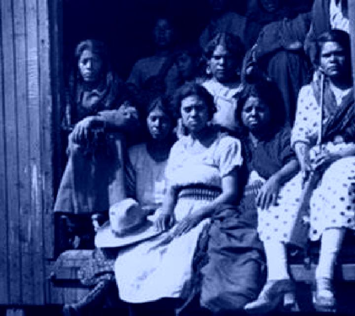 Safari Blitz online slot