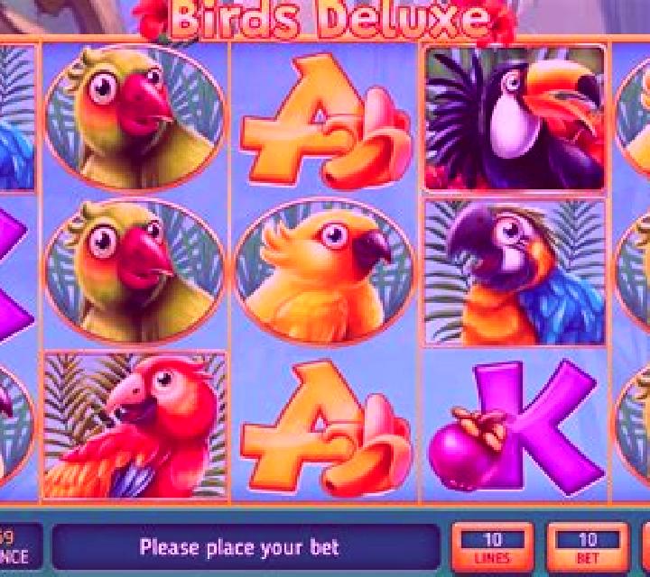 Safari Gold online slot