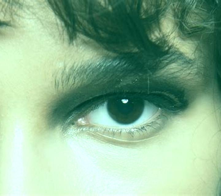 Shake The Money Tree slot machine
