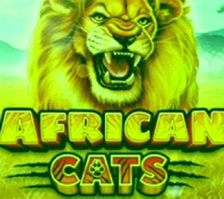 Speed Baccarat 1 (Bombay Live) online slot