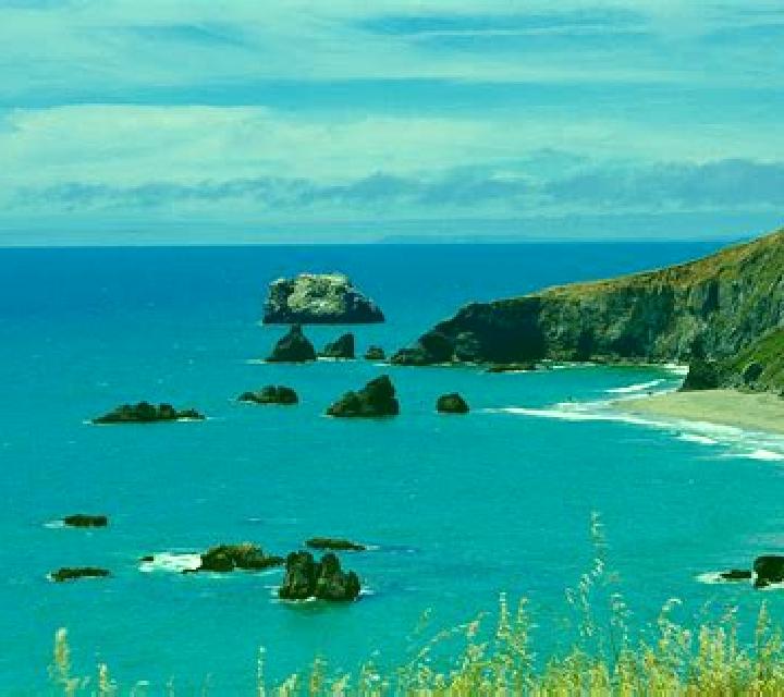 Speed Skating slot