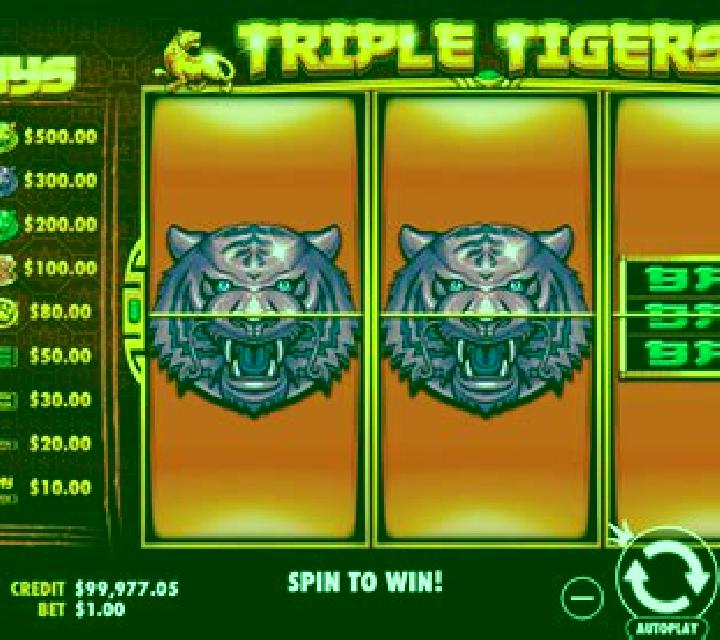 Starline slot machine