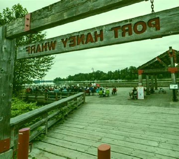 The Grand National Race of Champions online slot