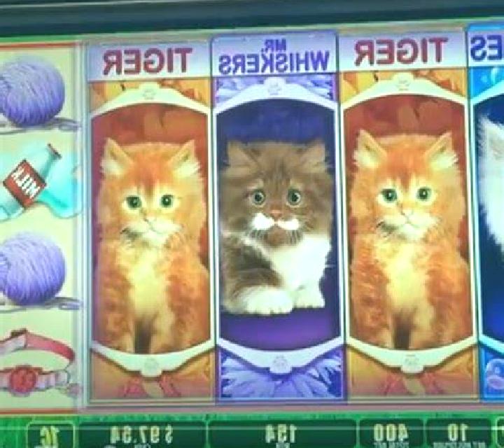 The Great Dogtective slot