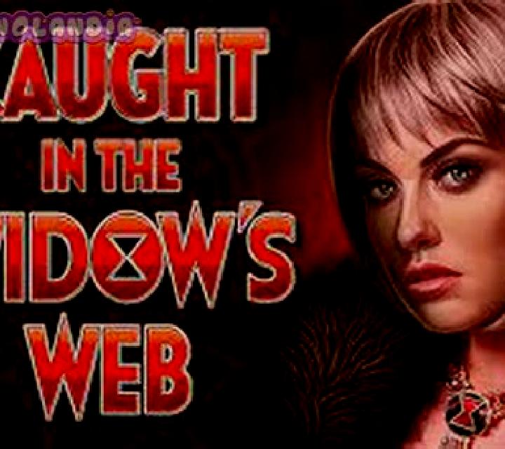 The Widow s Ways slot game