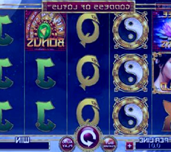 Visitors slot machine