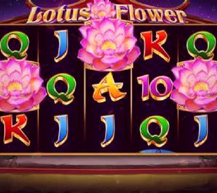 Wheely Wheely Big Win slot game