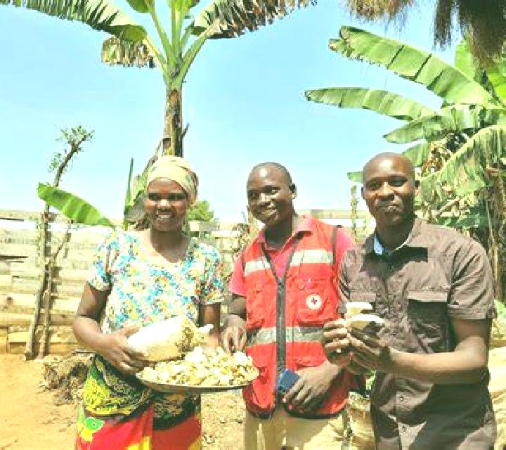 Wild Ace slot game