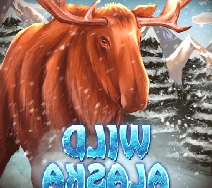 Wild Alaska slot
