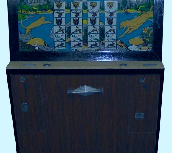 Wild Funland slot machine