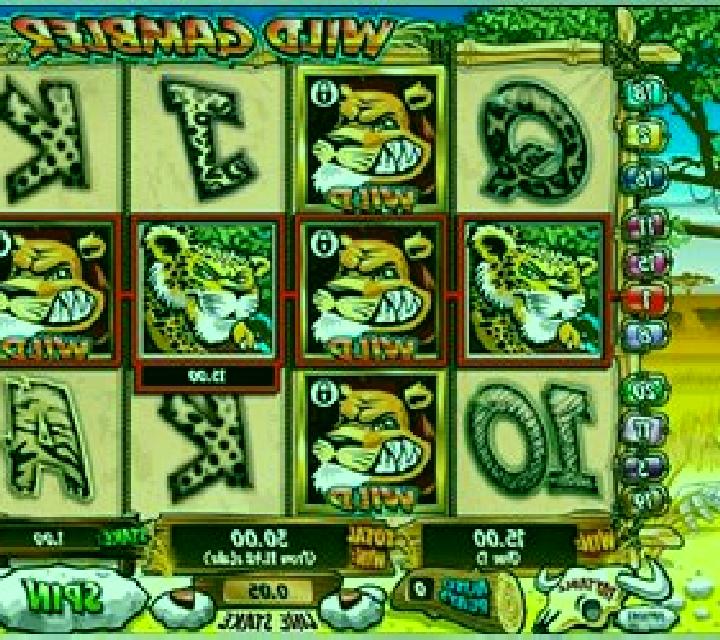 Wild Gambler slot