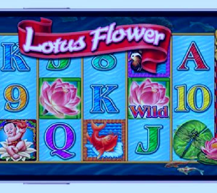 WP Instant Golden Flower slot machine
